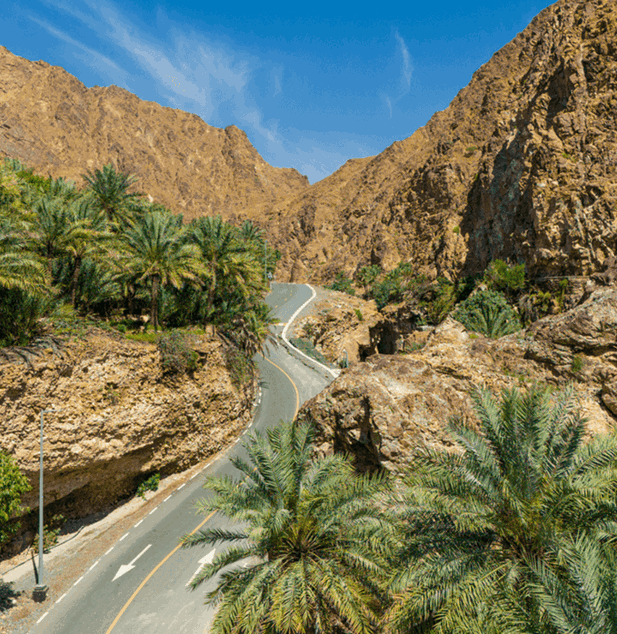 تخييم تحت النجوم - وادي الحلو - Image 3