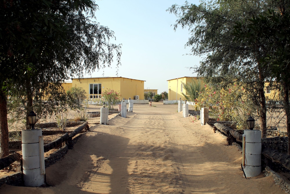 مخيم النخيل - وادي الغيل