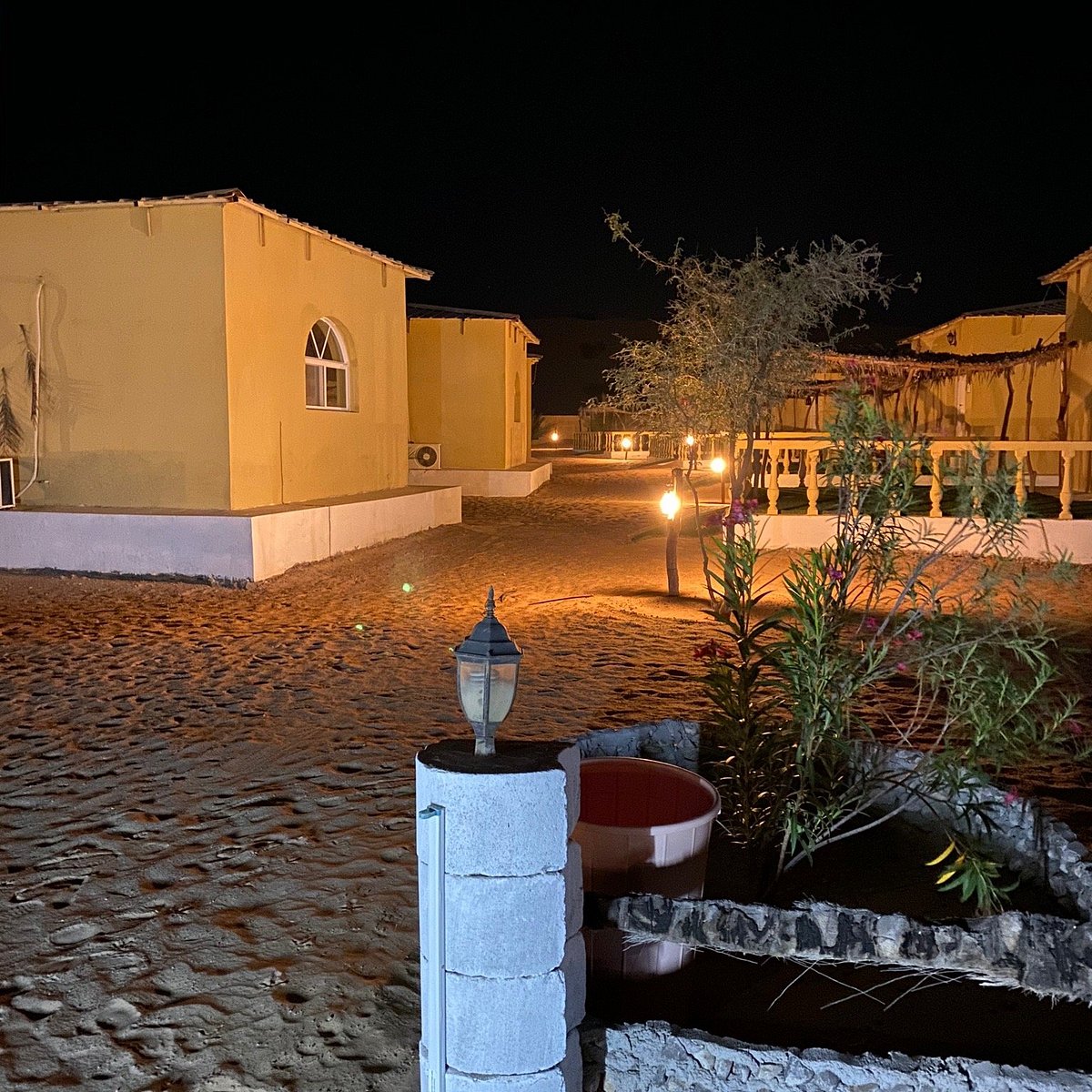 مخيم النخيل - وادي الغيل - Image 2